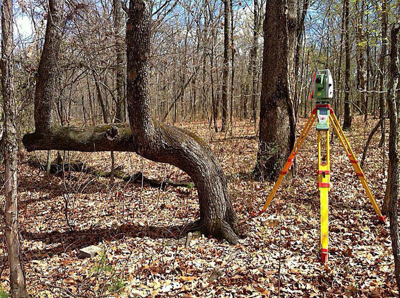 Survey Equipment in Woods